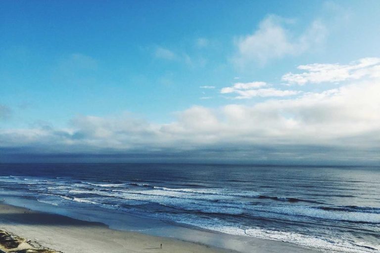 Veniam quo et neque consequuntur cum optio